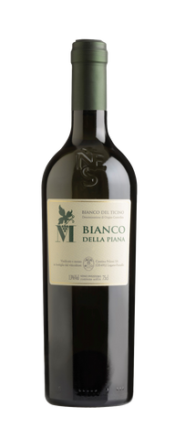Bianco della Plana Ticino DOC 2024 Pelossi